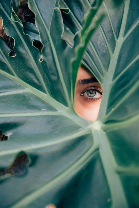 Why Renting Fashion Is More Sustainable?